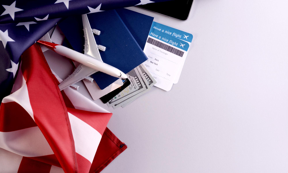 Why Professionals Should Seek US Immigration